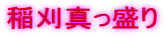 稲刈真っ盛り